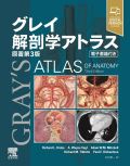 グレイ解剖学アトラス 原著第3版