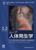 ムーア人体発生学 原著第11版